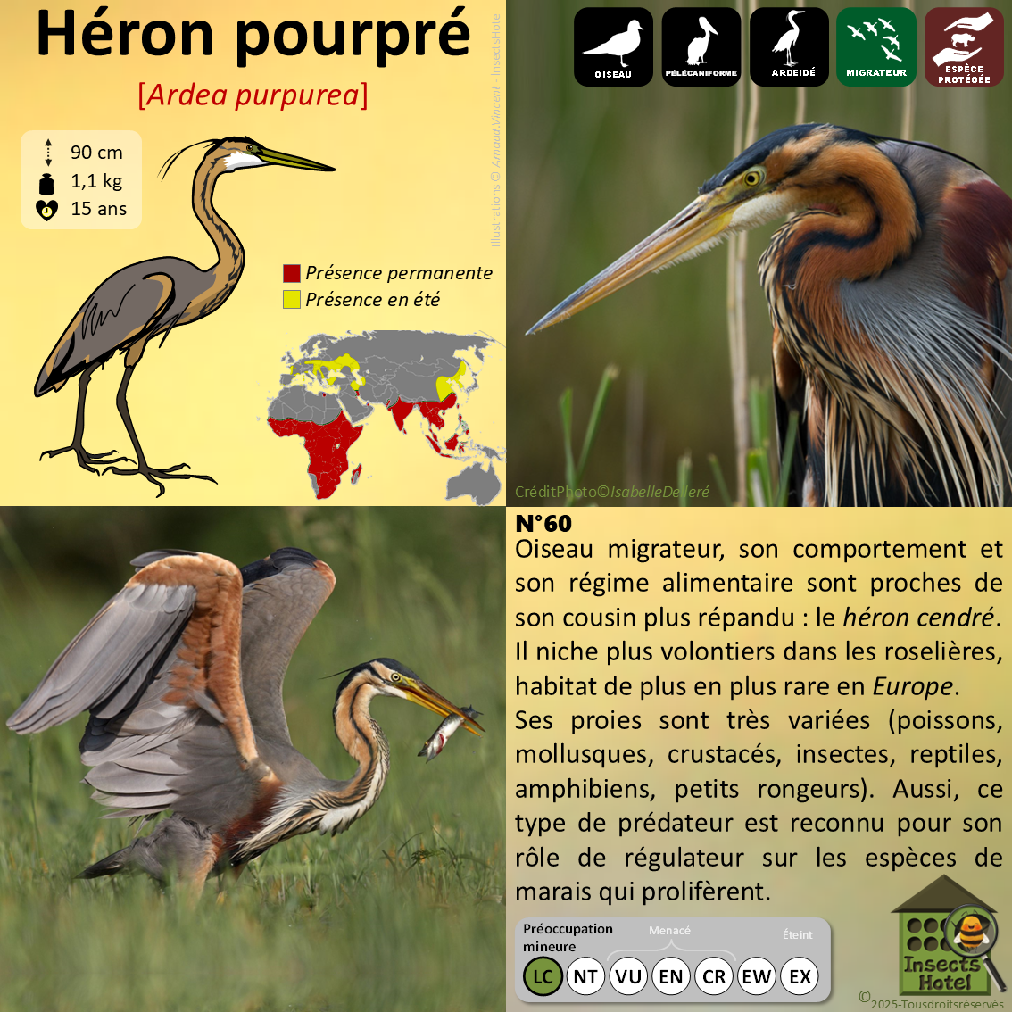 product_image_859450