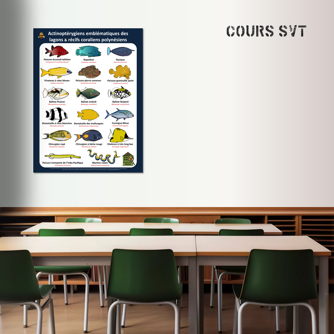 product_image_284444