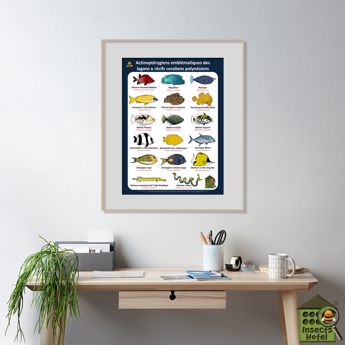 product_image_252346