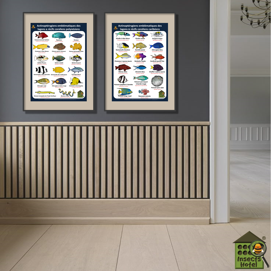 product_image_578398