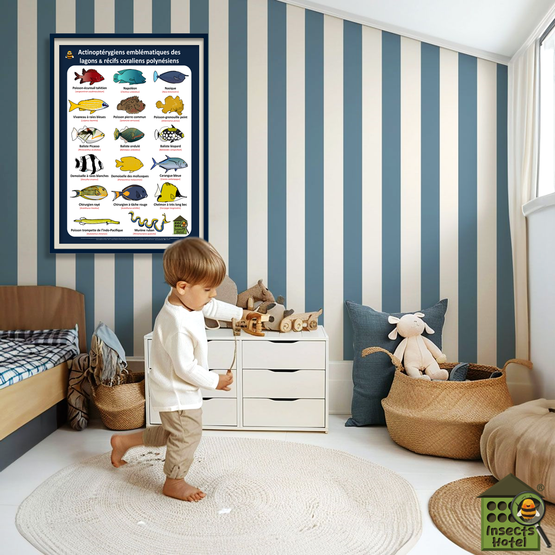 product_image_843381