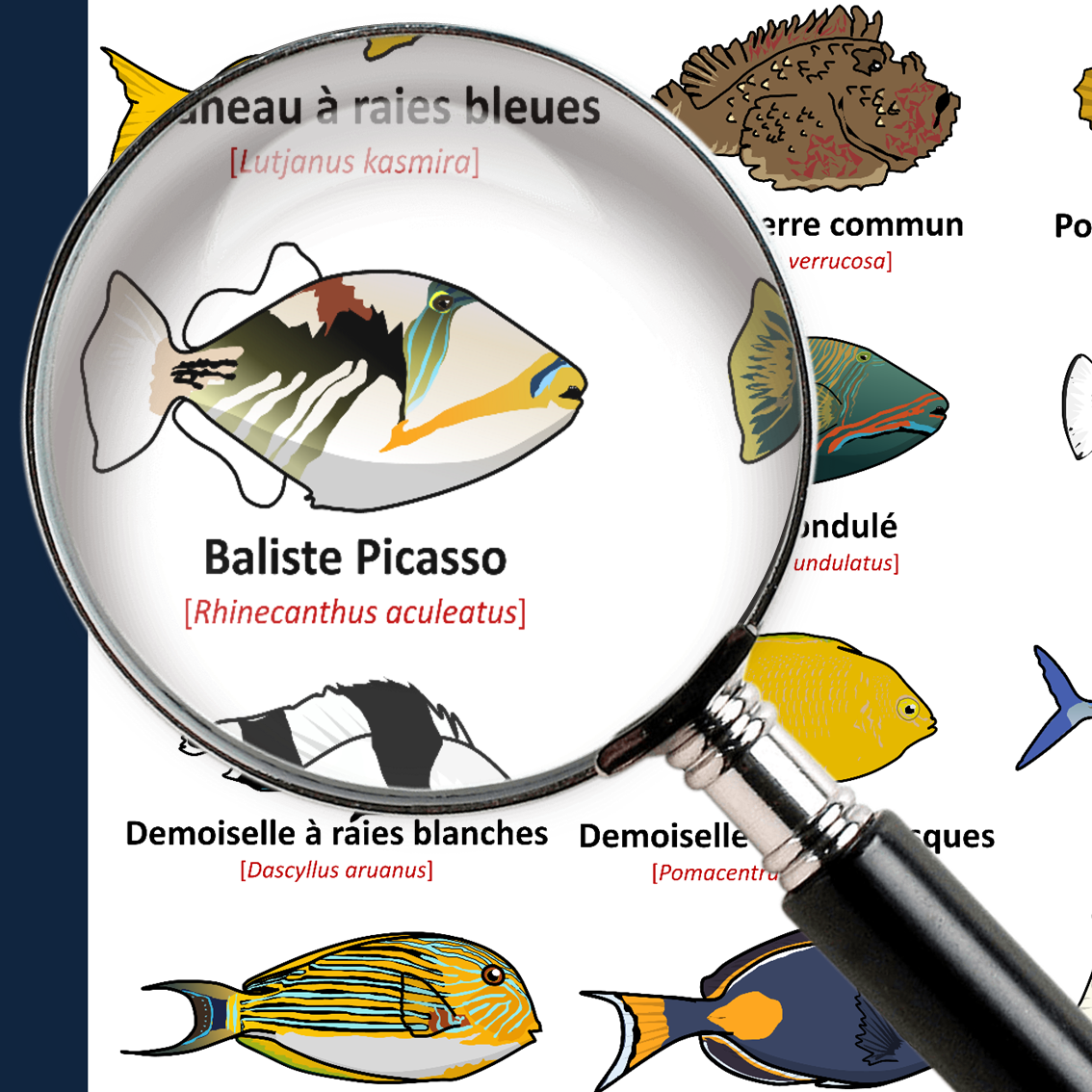 product_image_556872