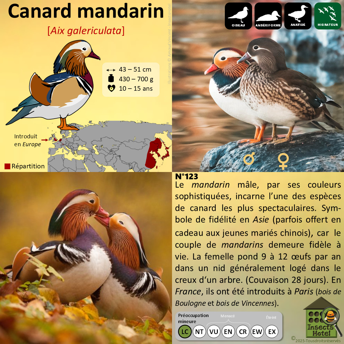 product_image_912557