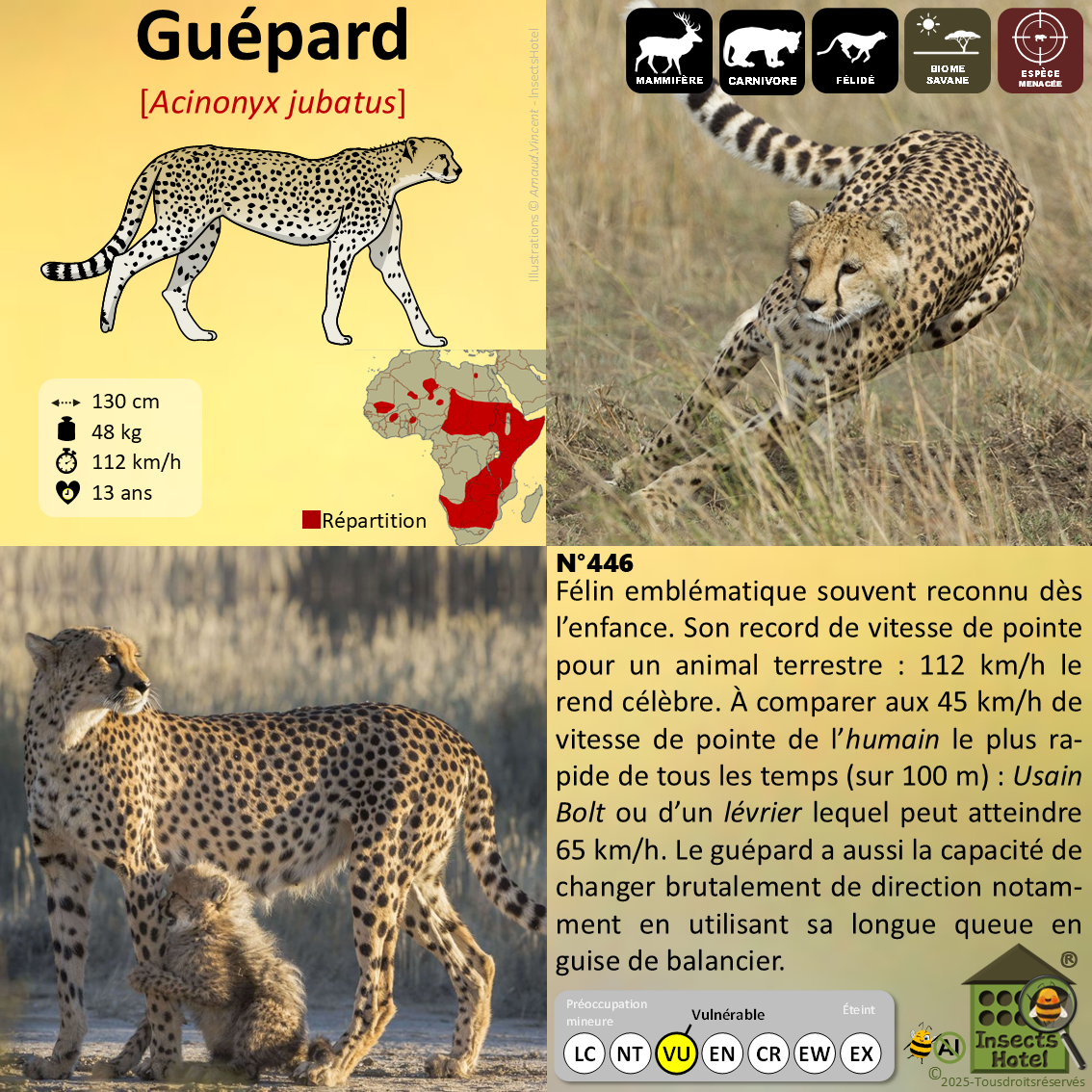 product_image_538479