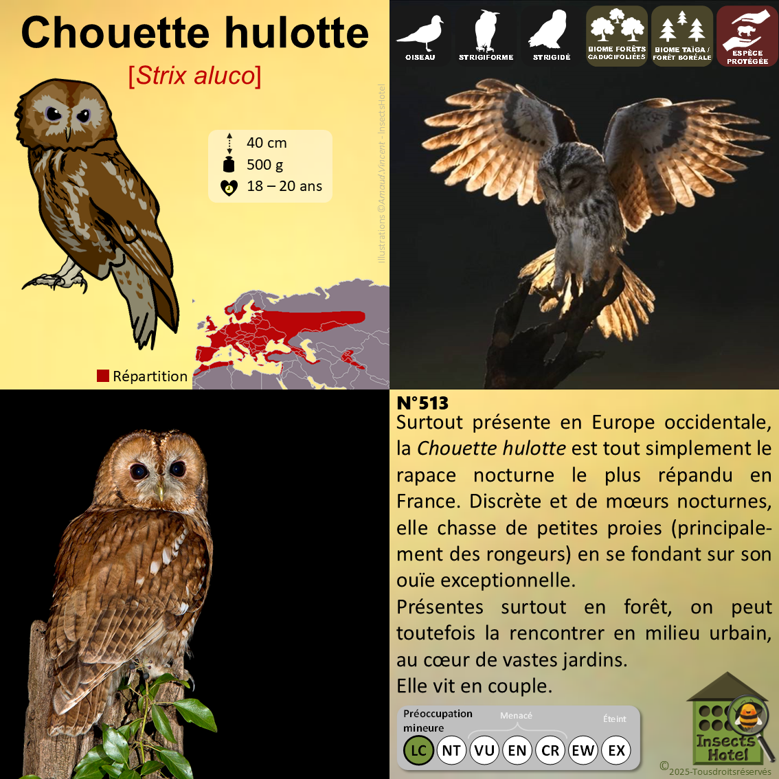 product_image_355837