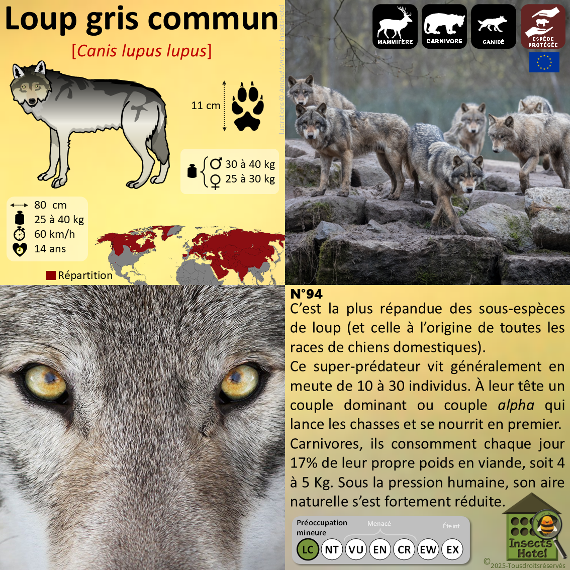 product_image_113596