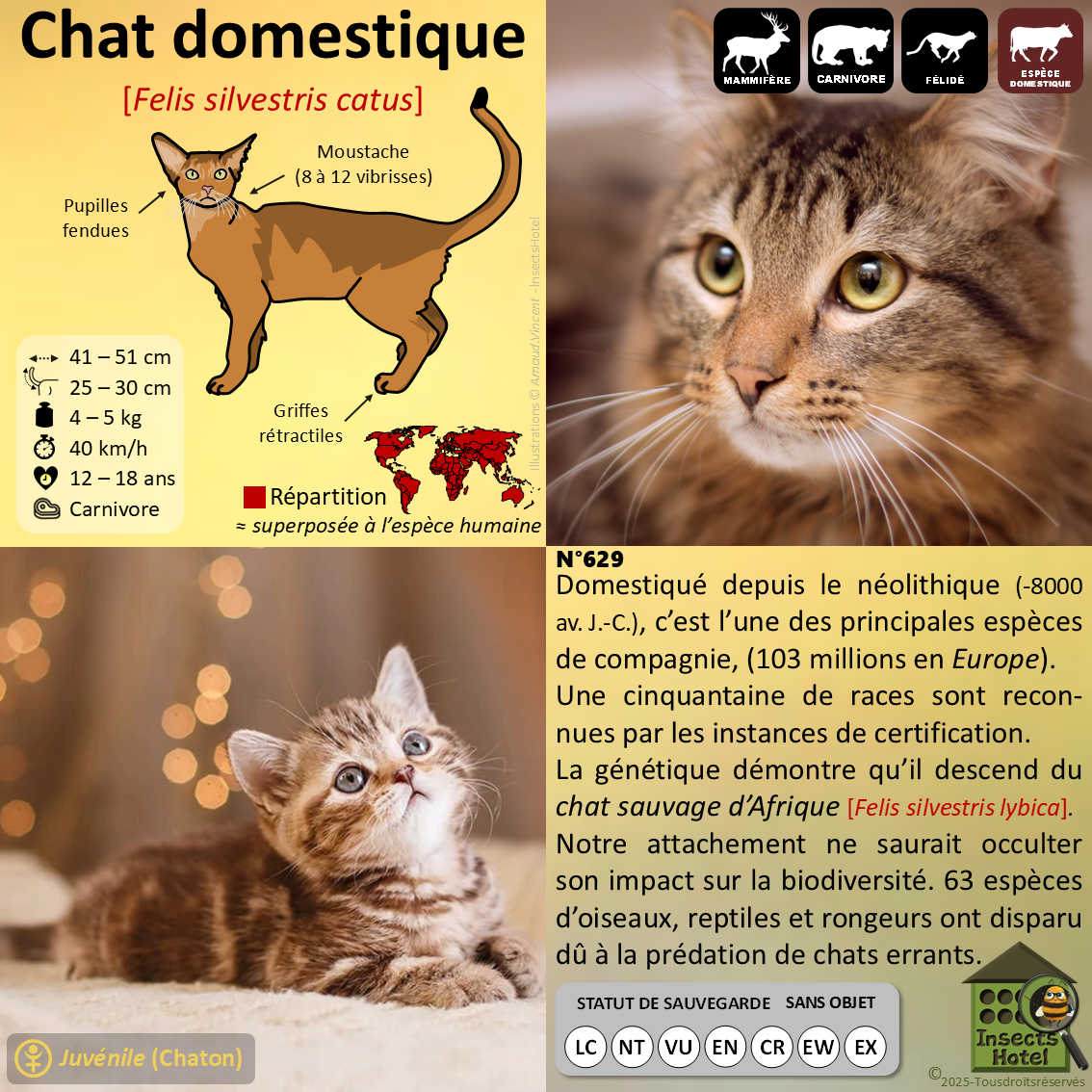 product_image_473942