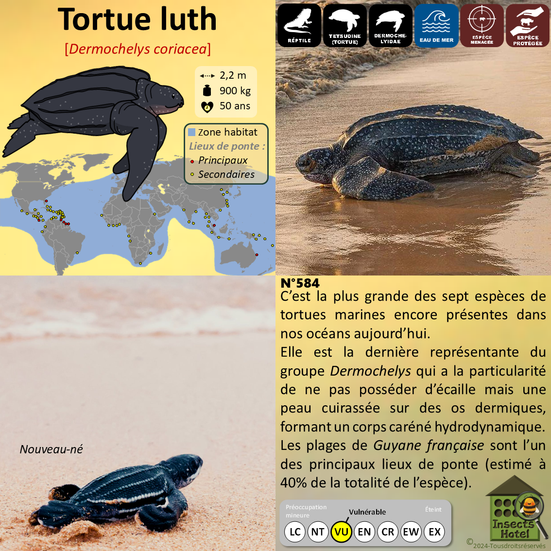 product_image_243706