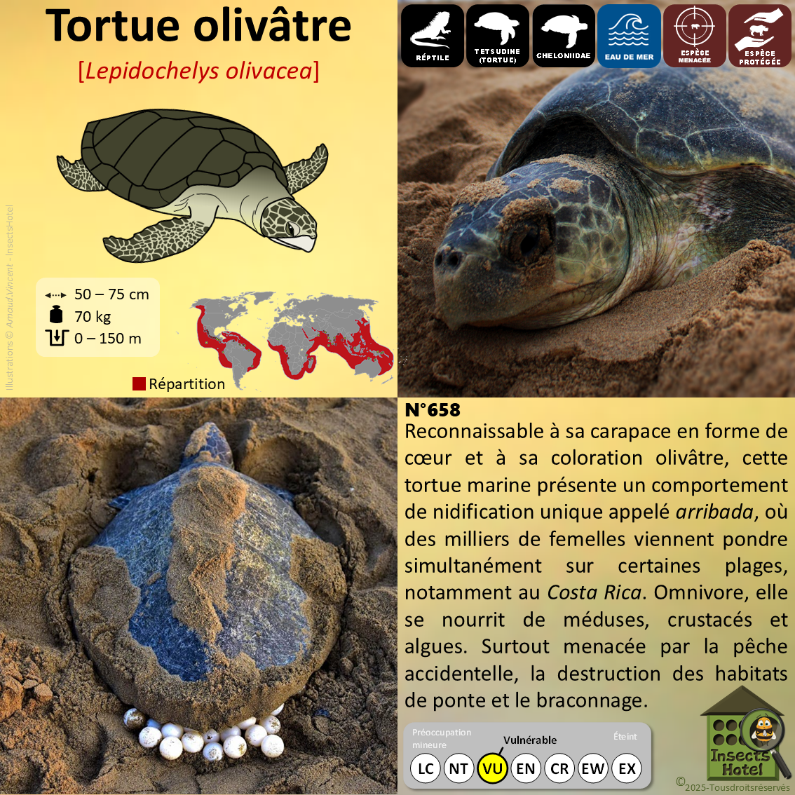 product_image_267487