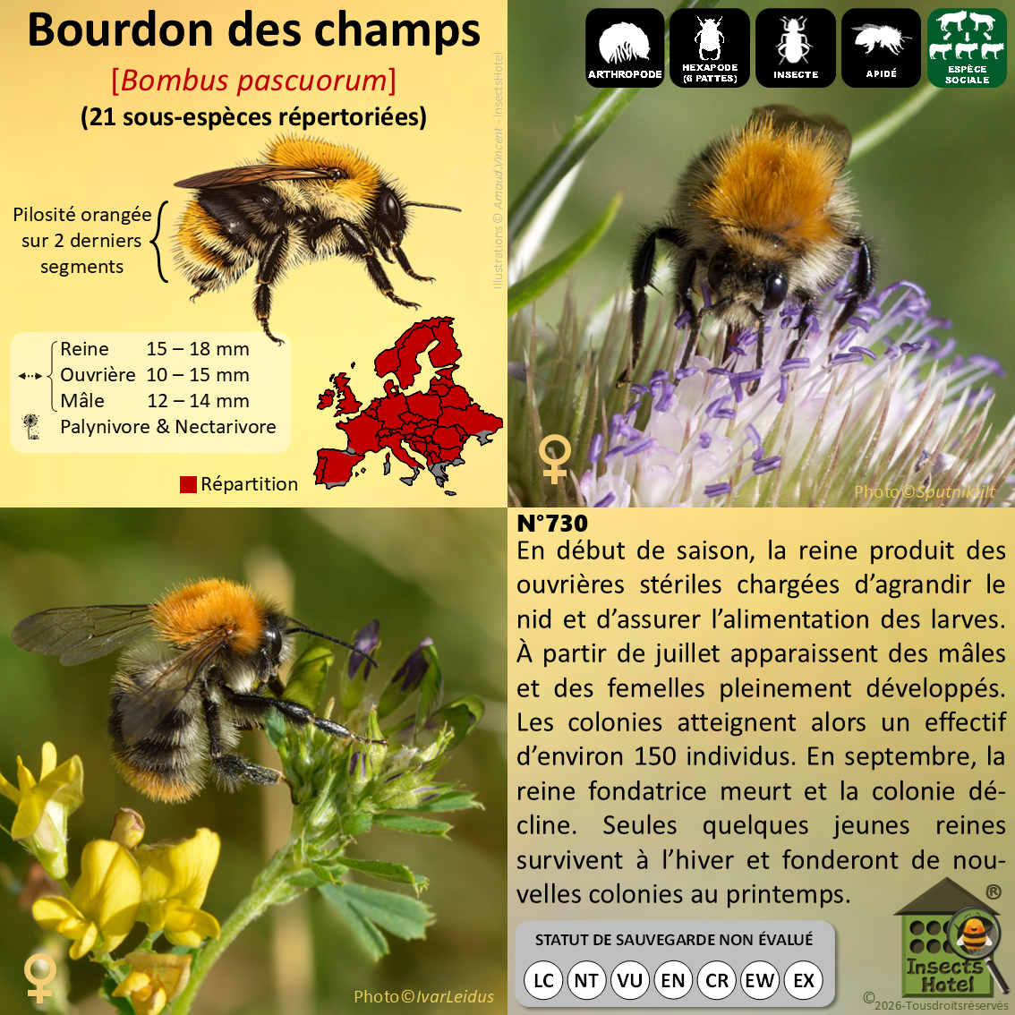 product_image_162255