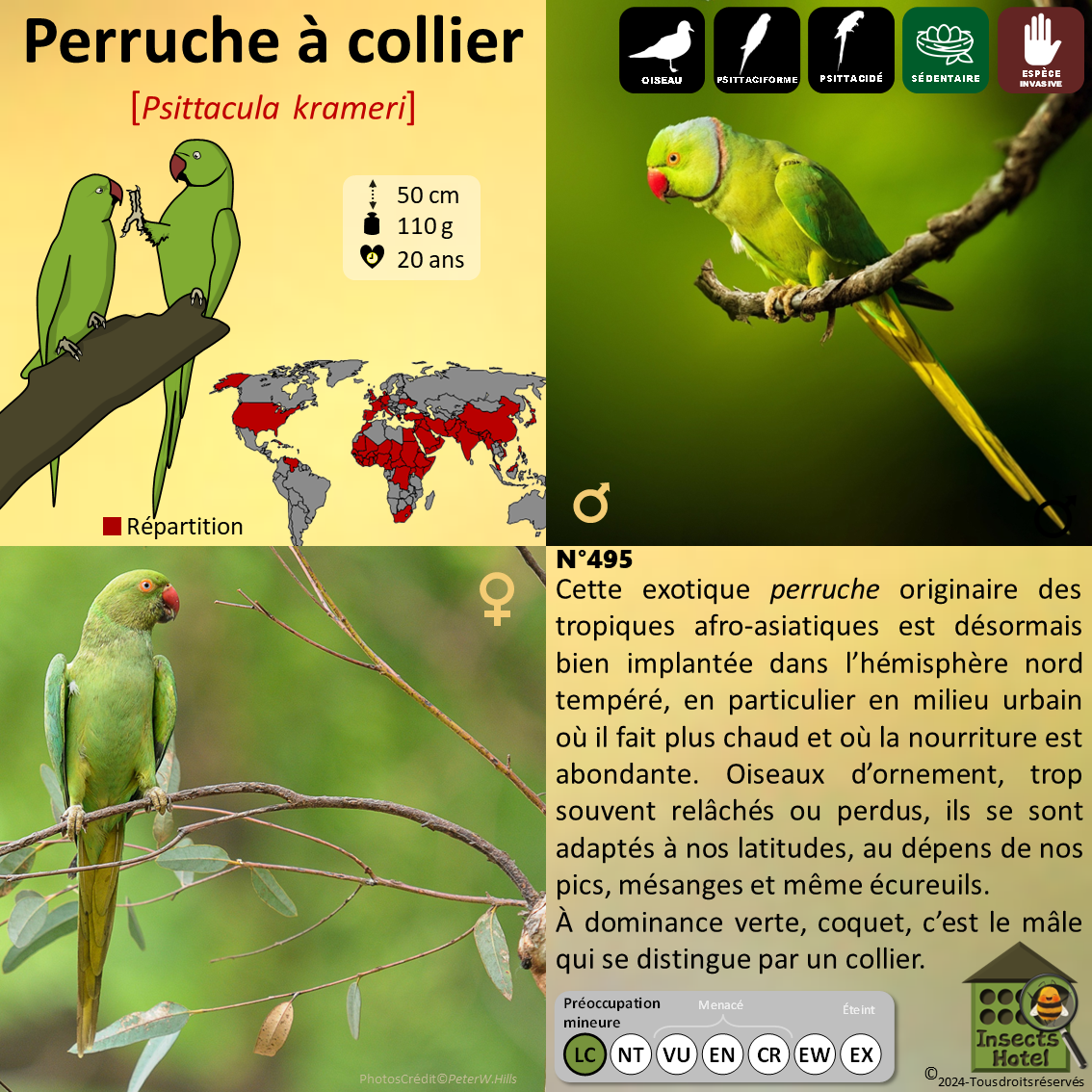 product_image_820137