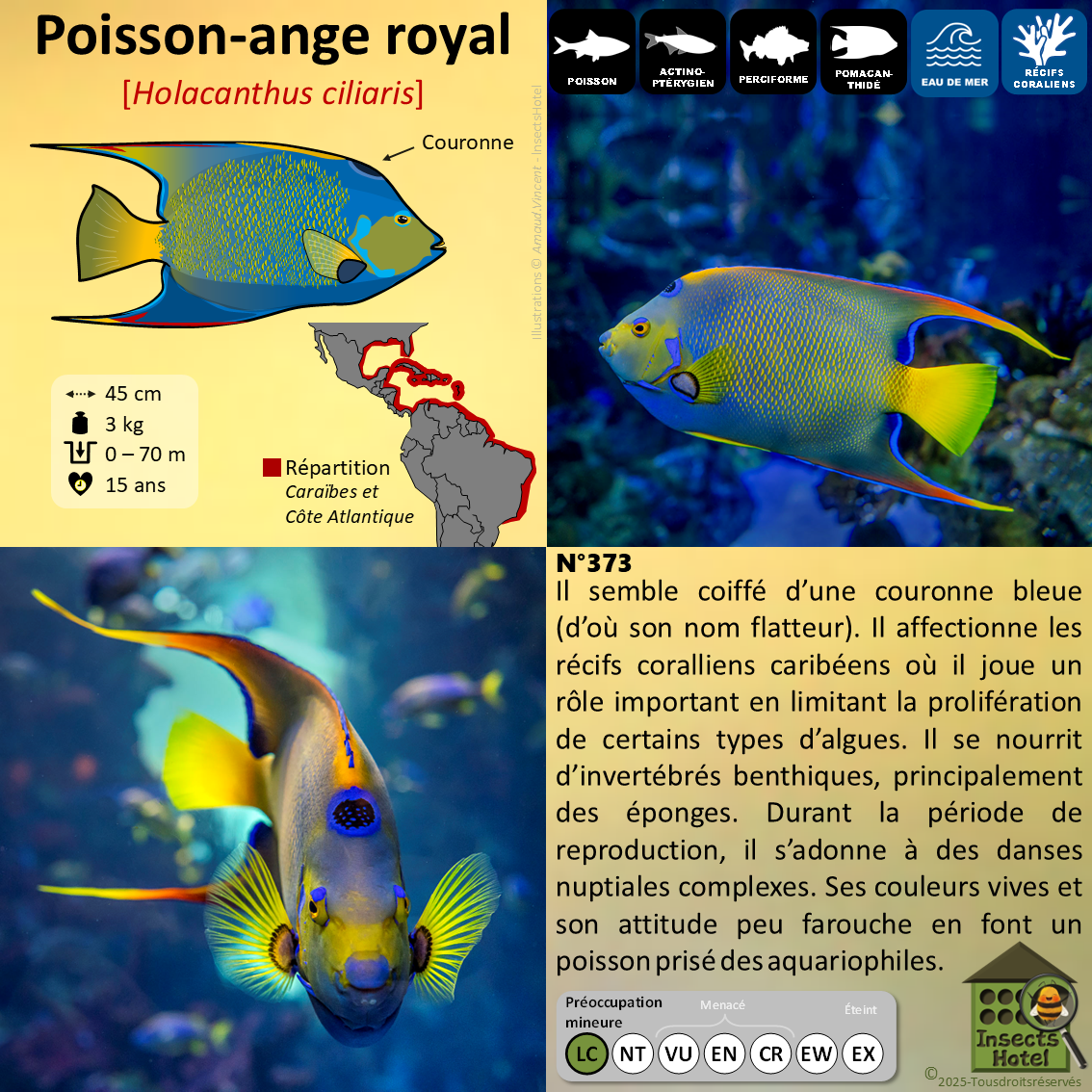 product_image_183982