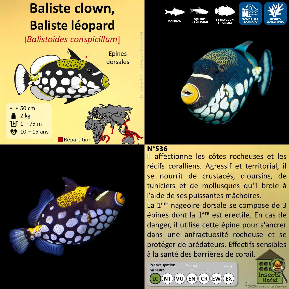 product_image_896481