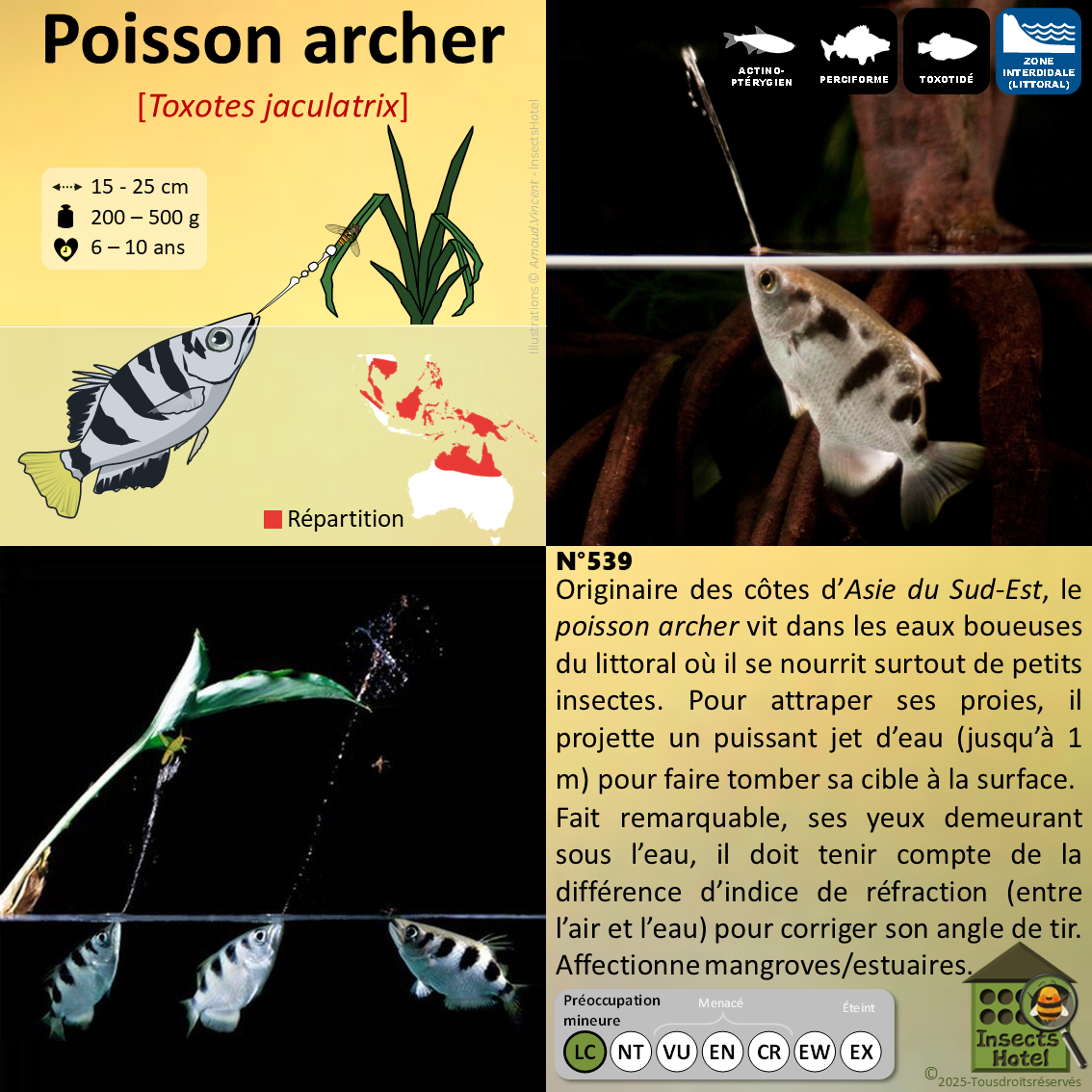 product_image_422342