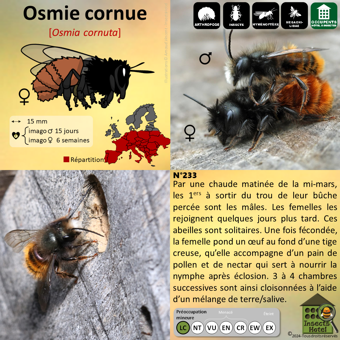 product_image_745142