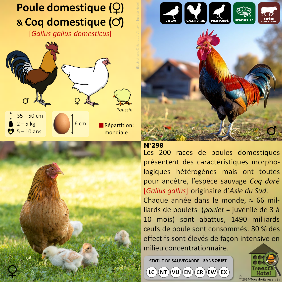 product_image_561422