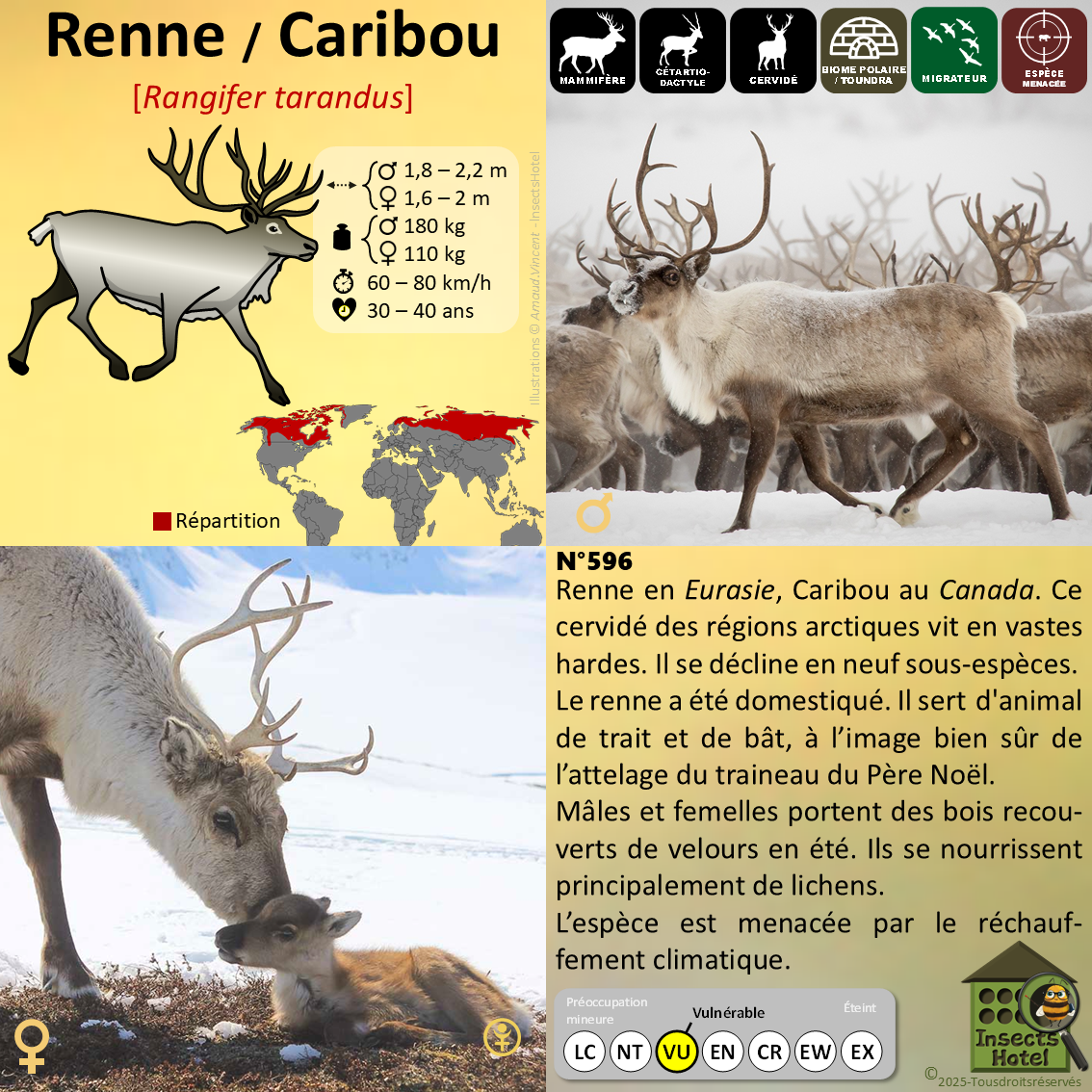 product_image_360287