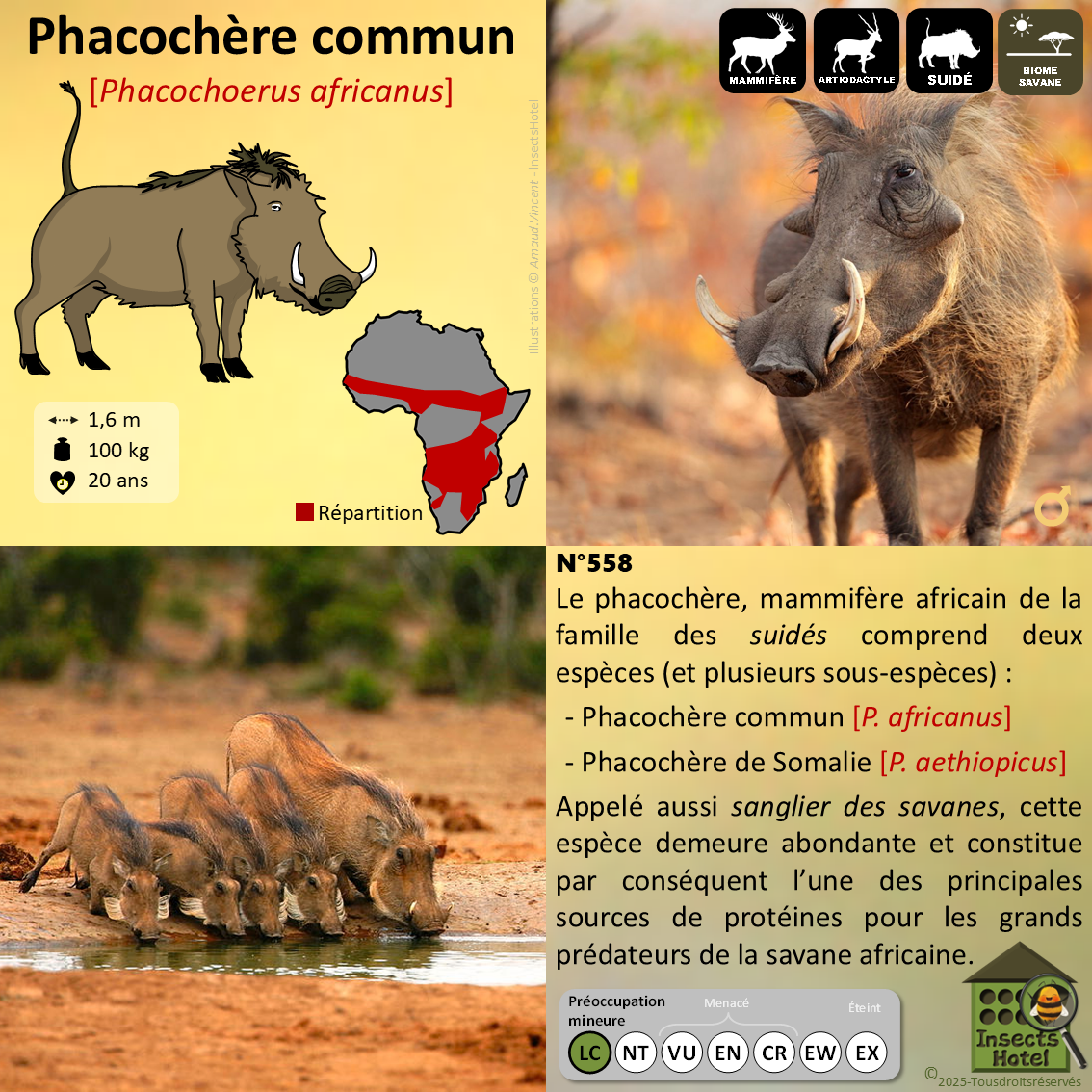 product_image_587897