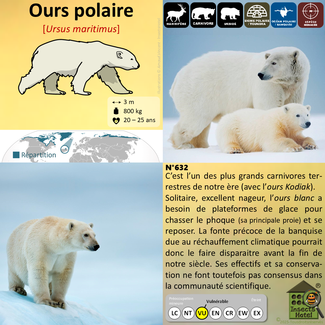 product_image_157158