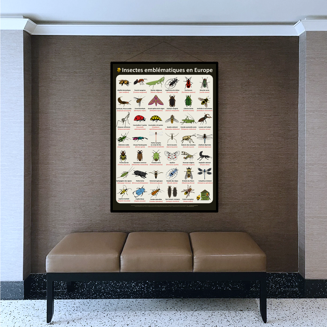 product_image_837885