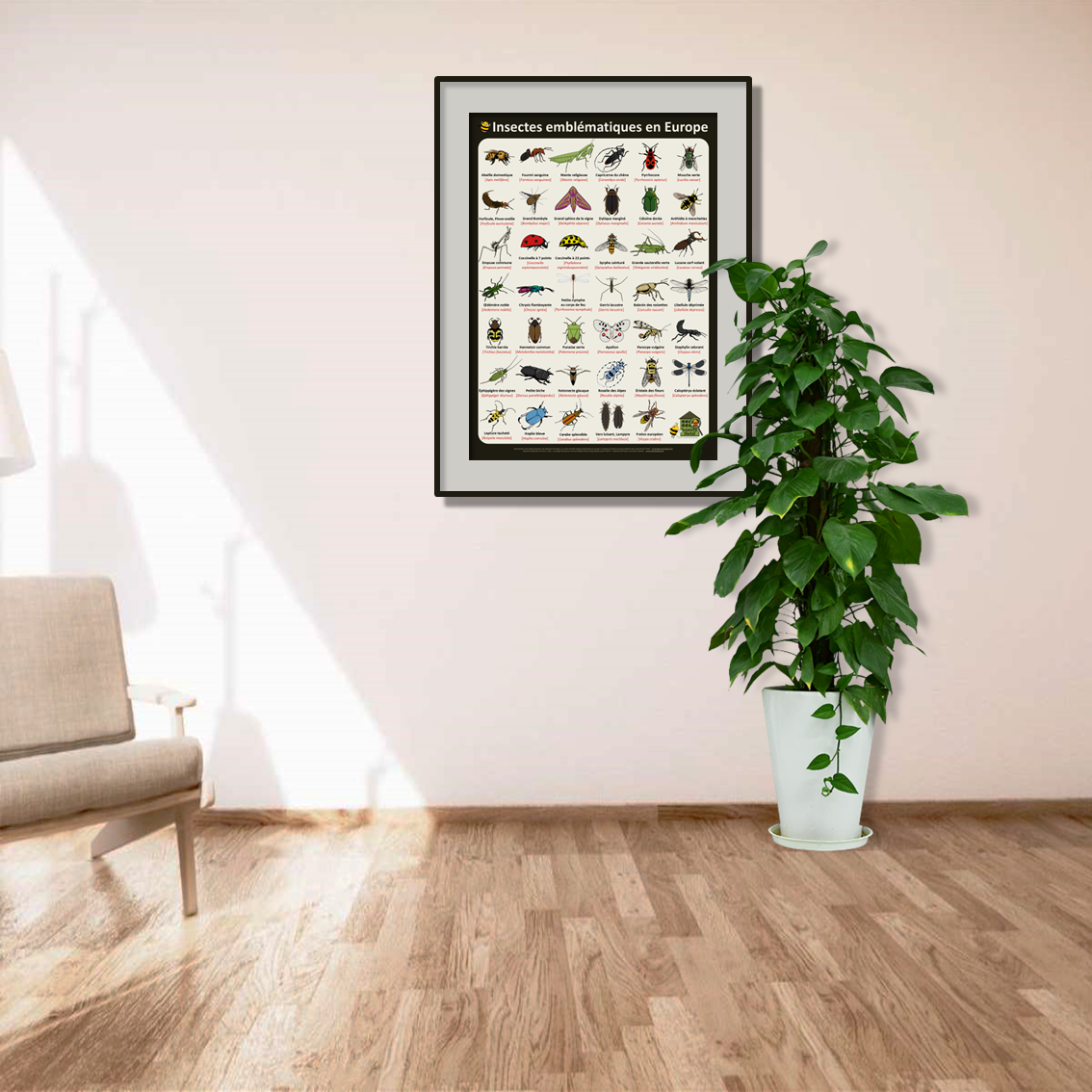 product_image_417968