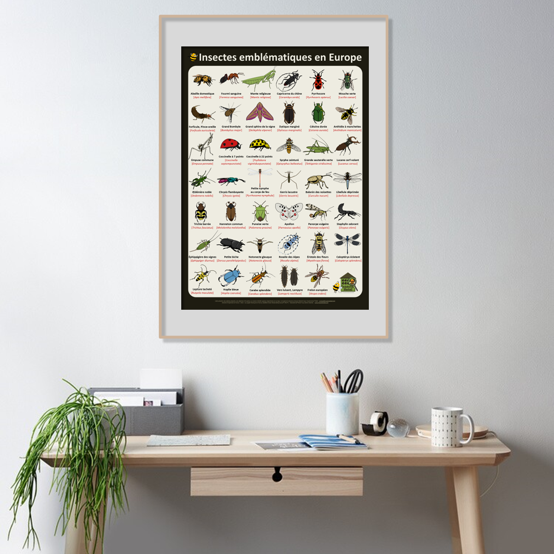 product_image_840502