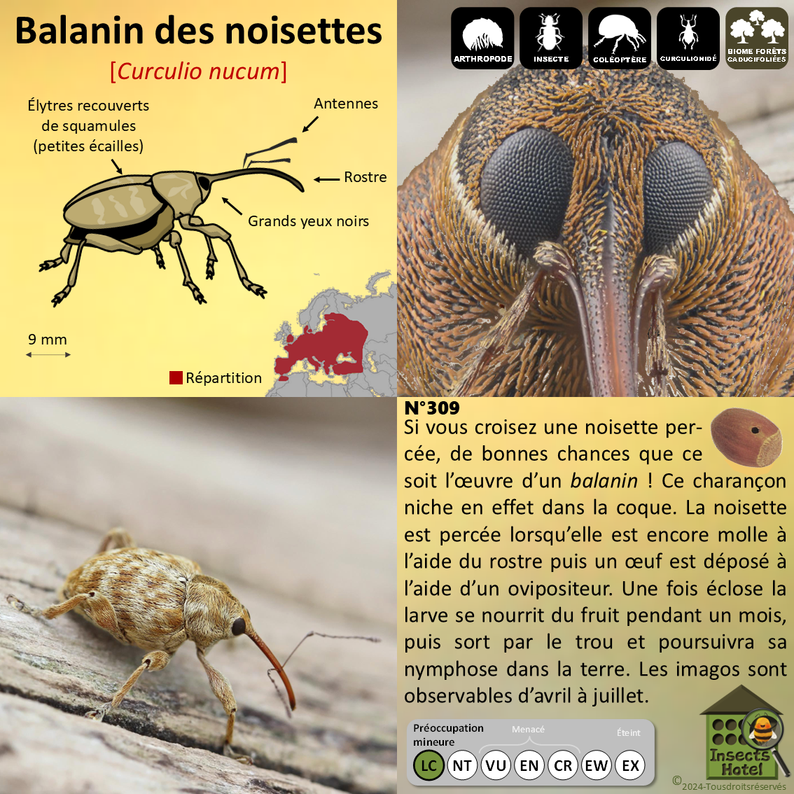 product_image_677357