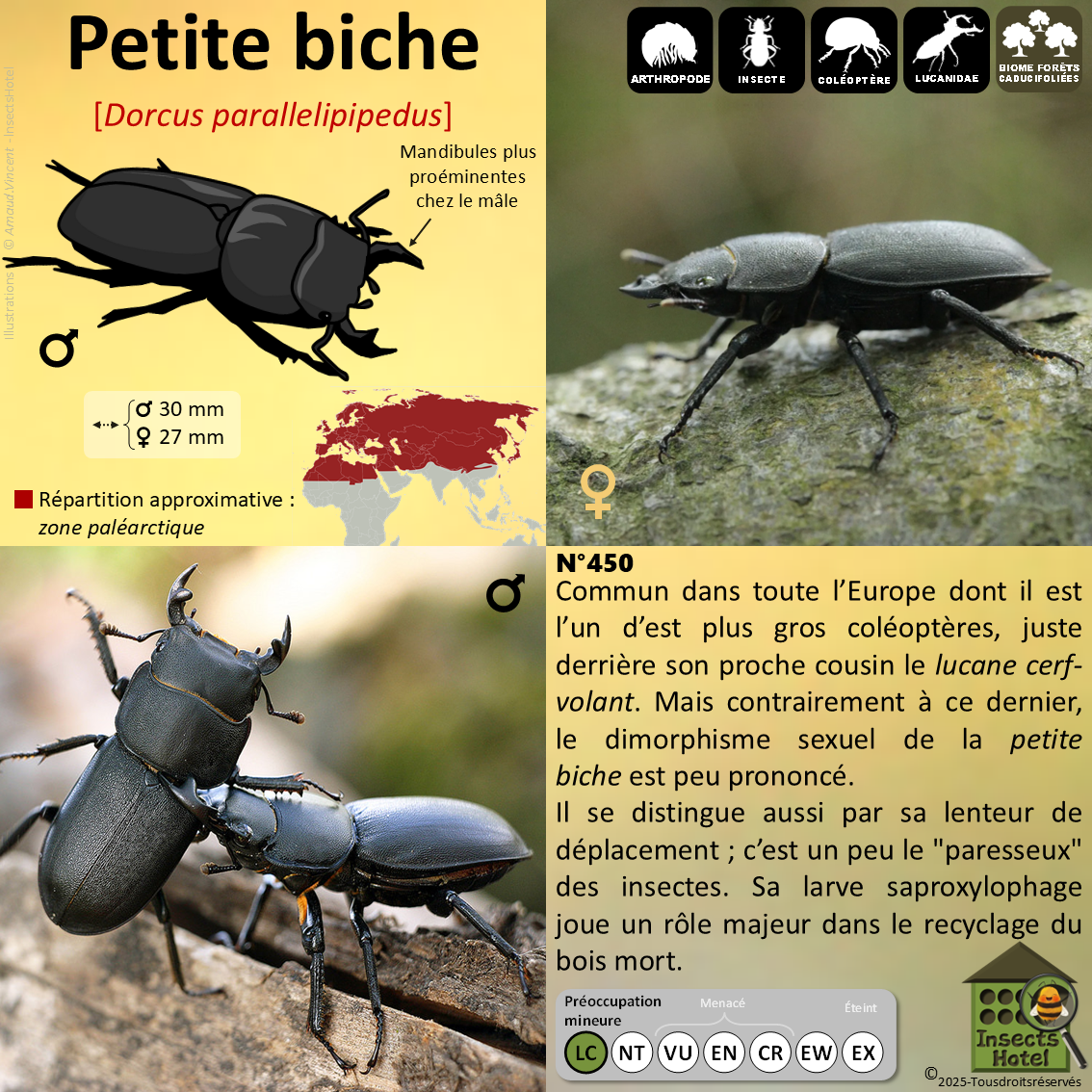 product_image_694289