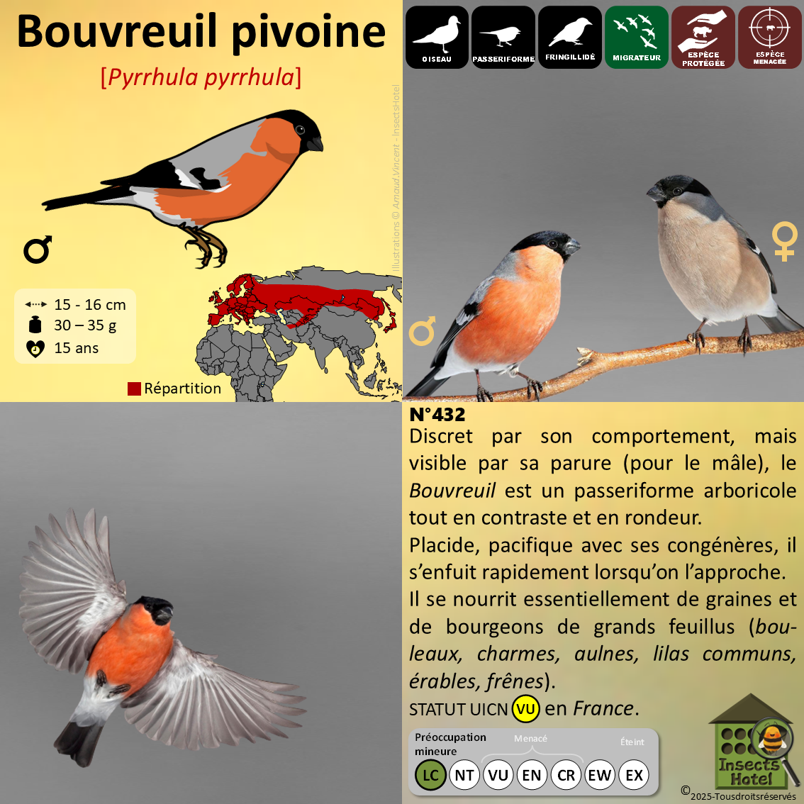 product_image_109227