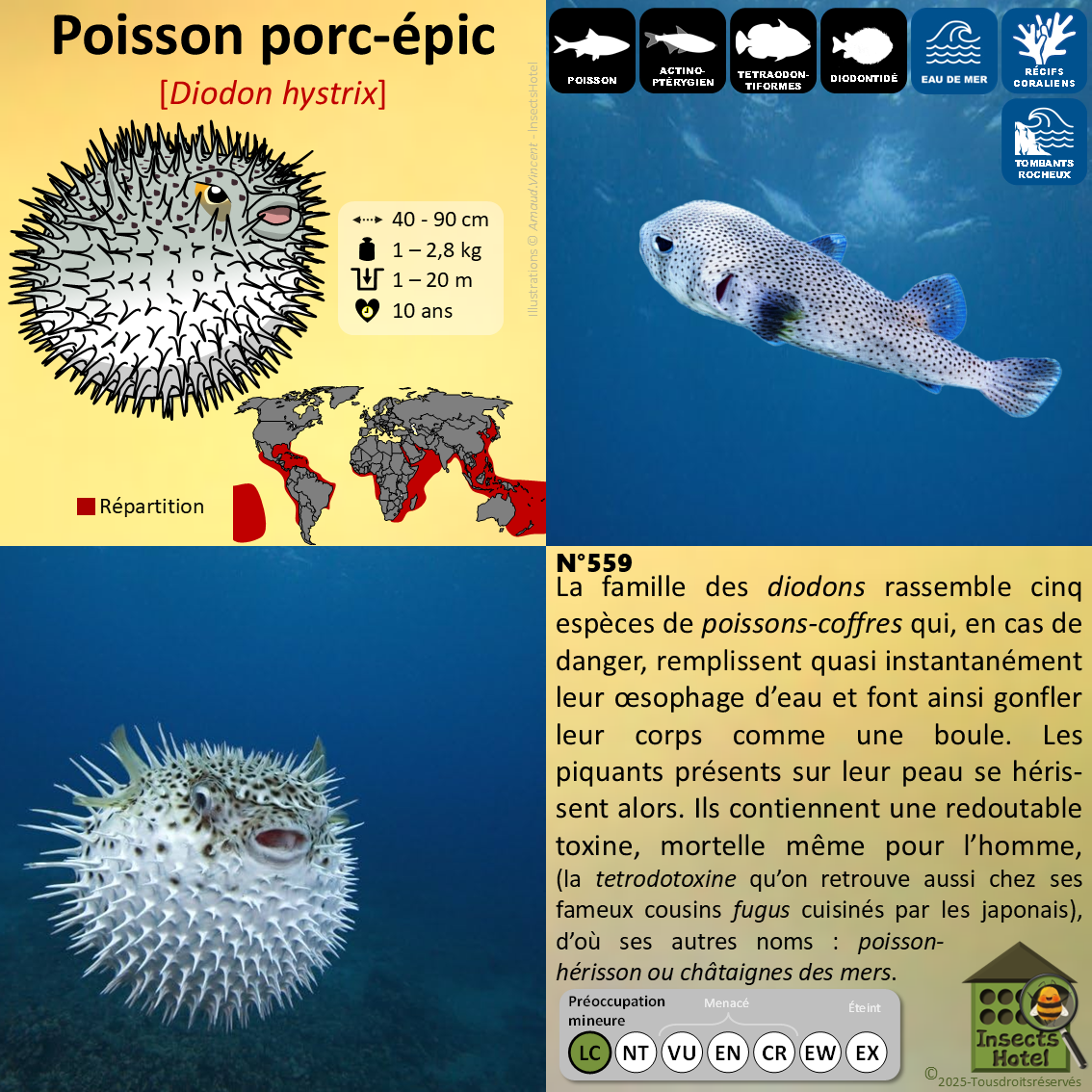 product_image_757471