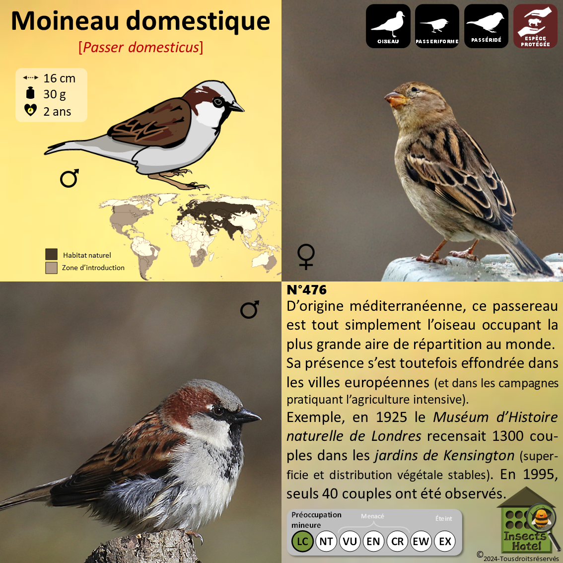 product_image_611928