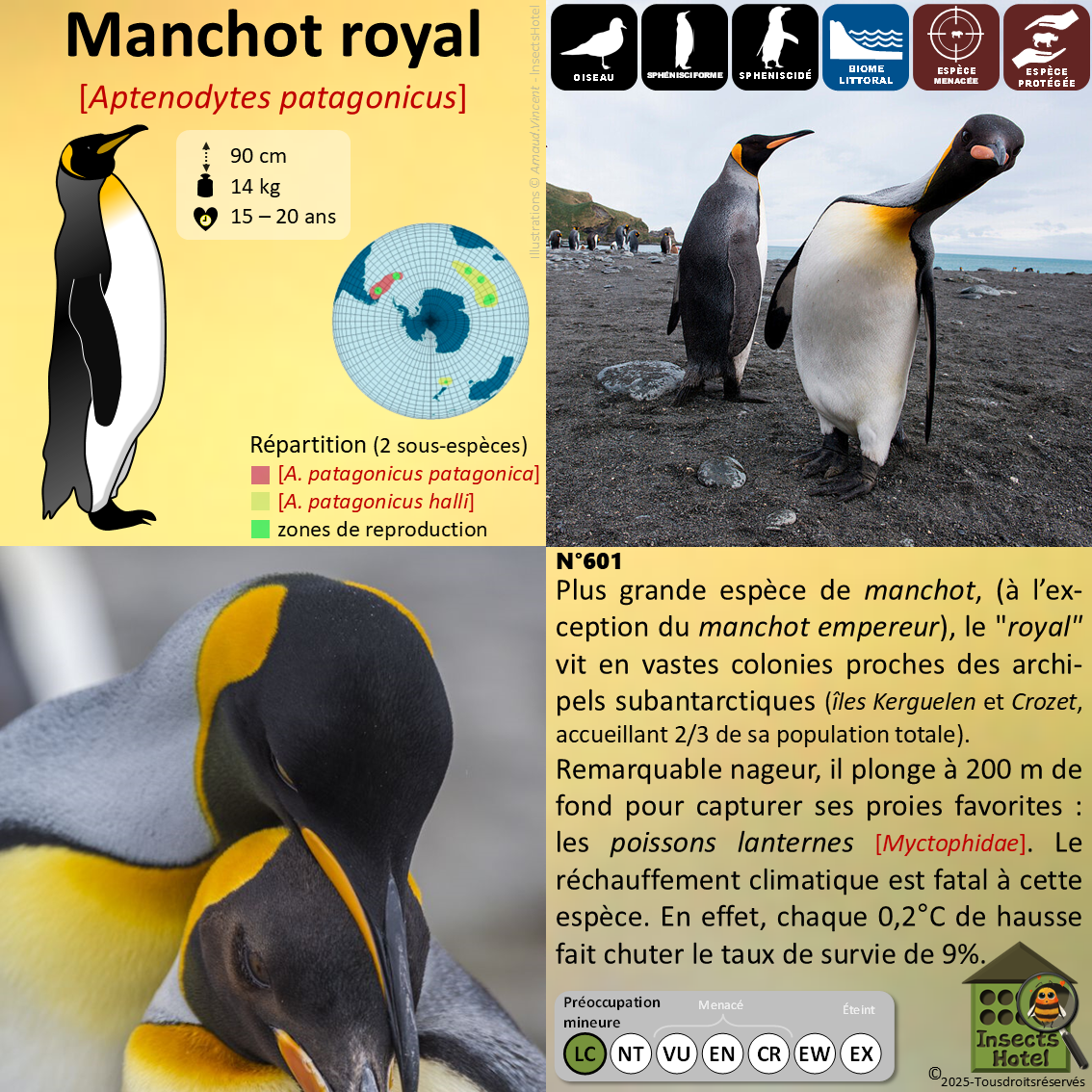 product_image_124902