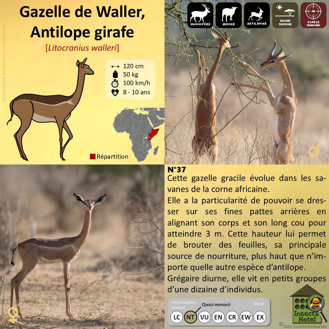 product_image_365044