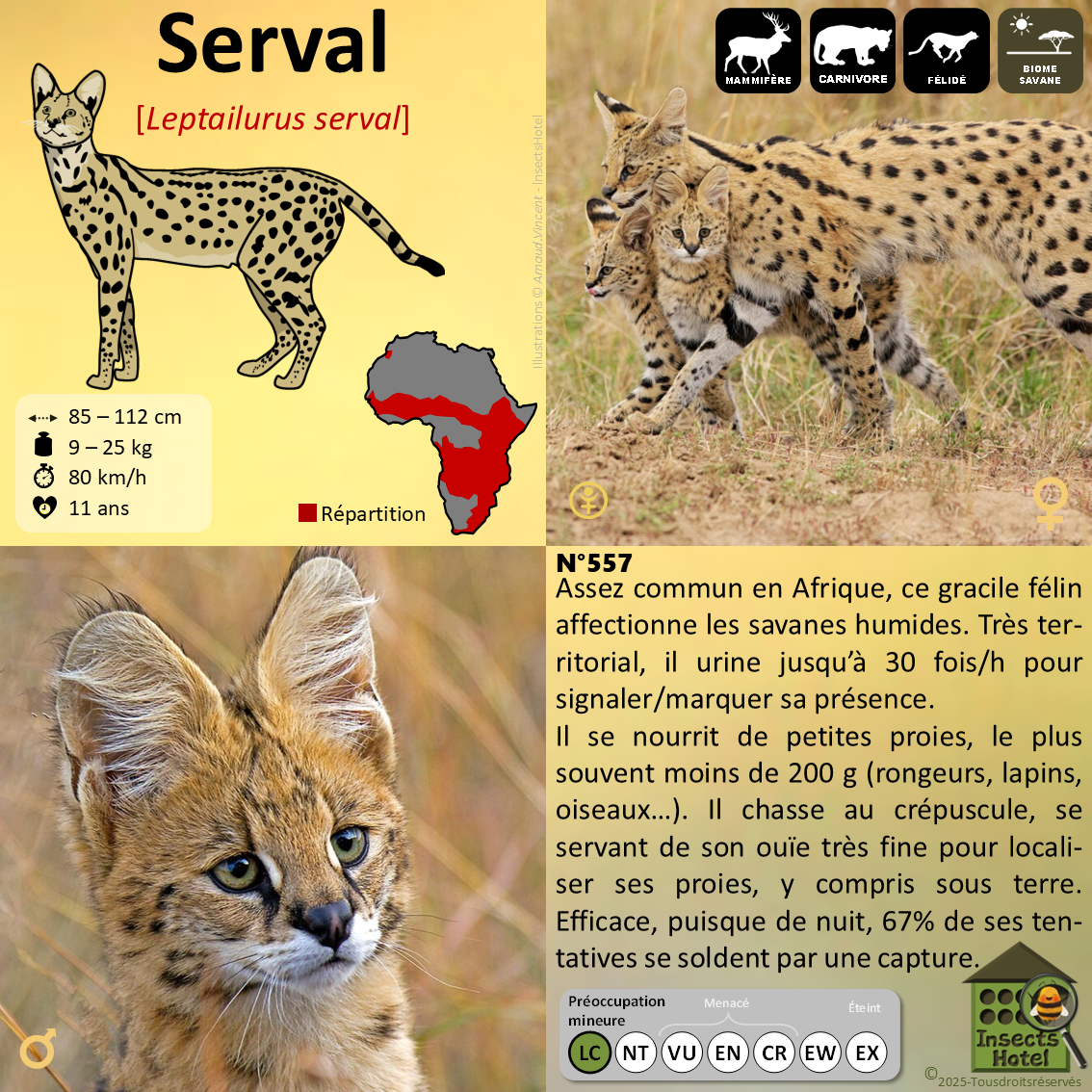 product_image_185417