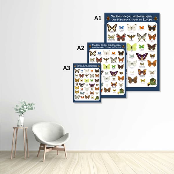 Image back Poster - Papillons de jour emblématiques Europe