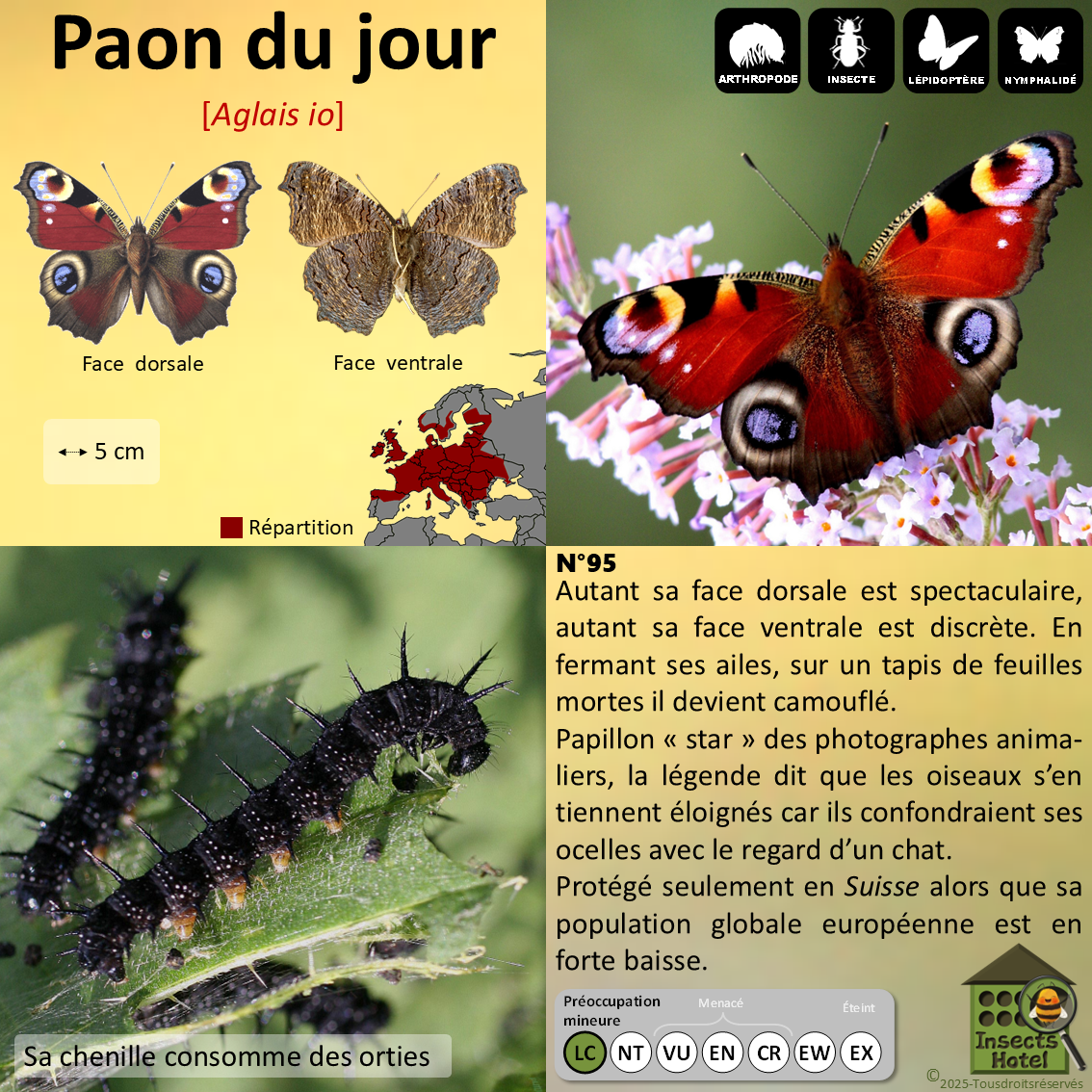 product_image_797026