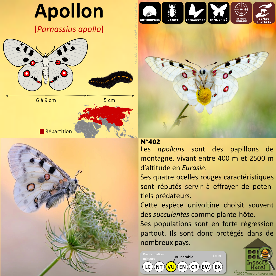 product_image_725209