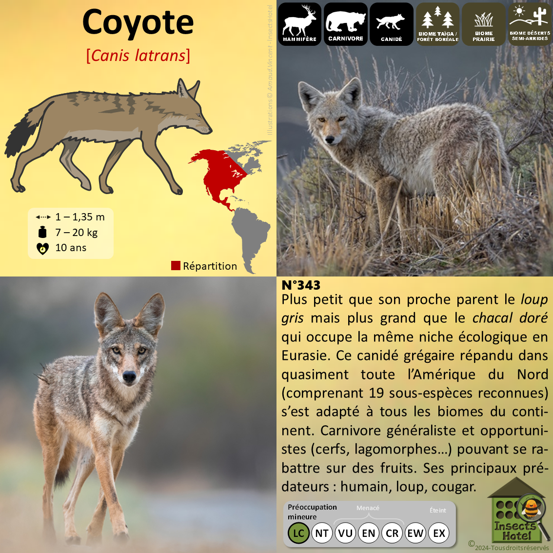 product_image_996135