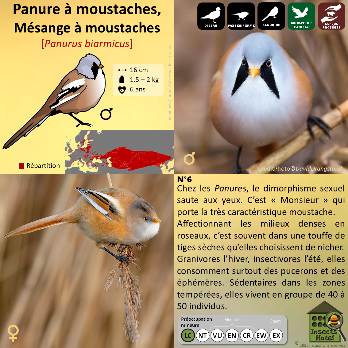 product_image_729000