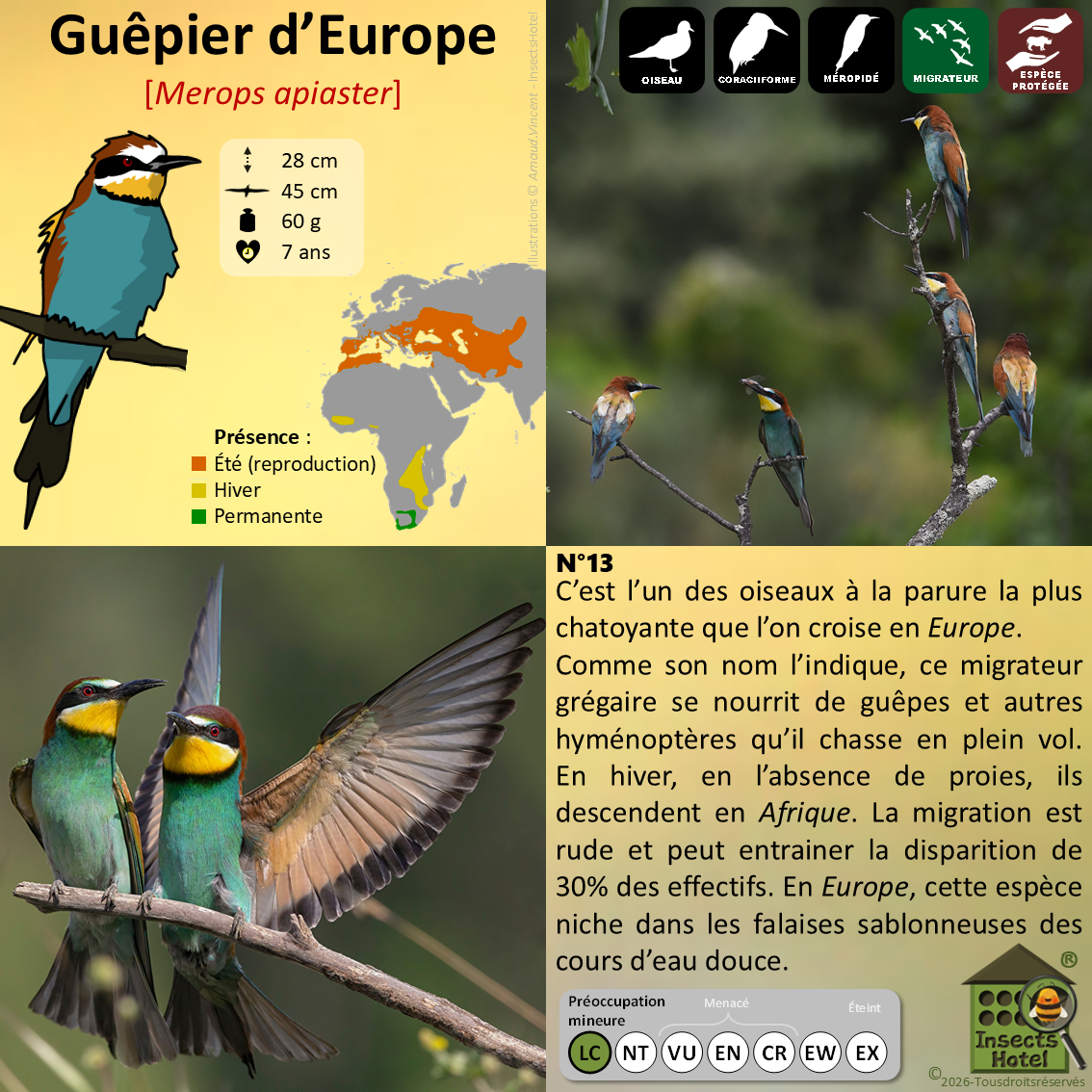 product_image_760373