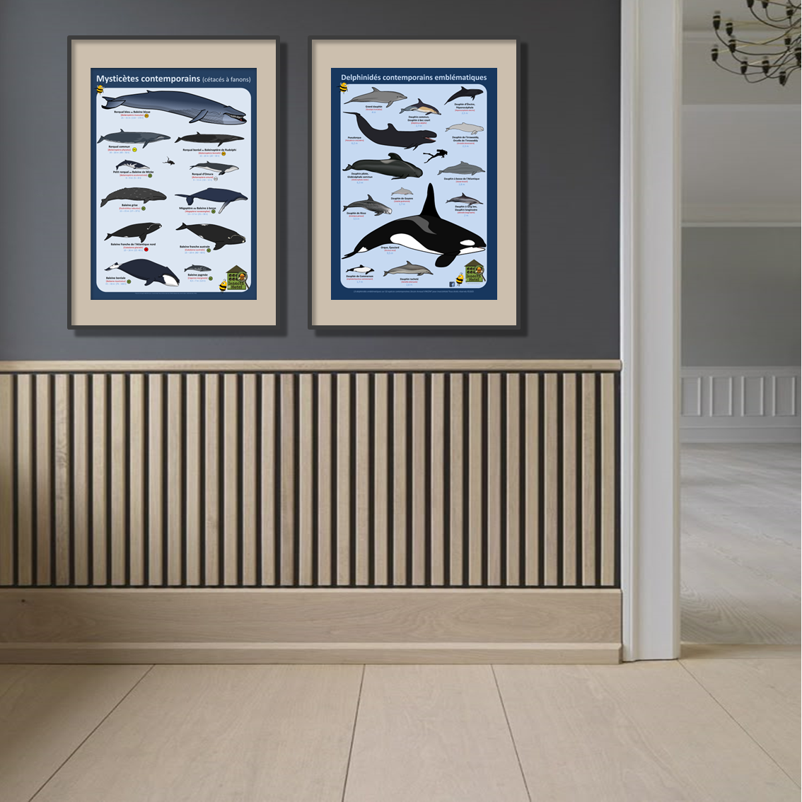 product_image_143798