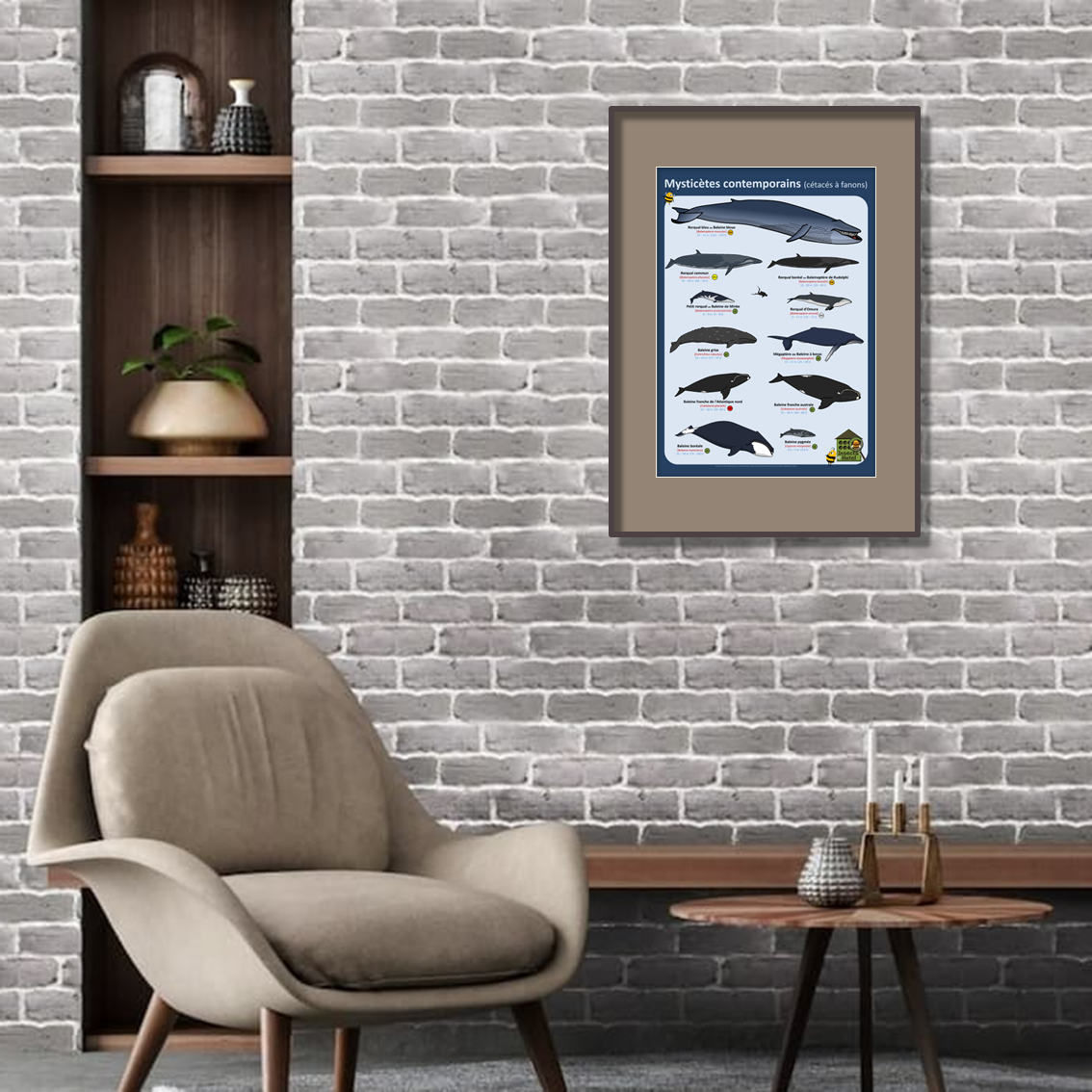 product_image_742930