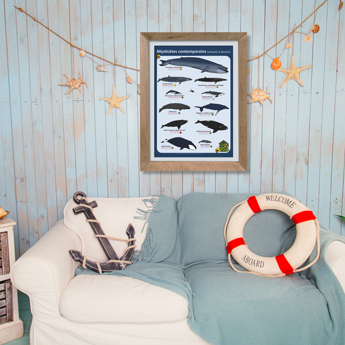 product_image_837924