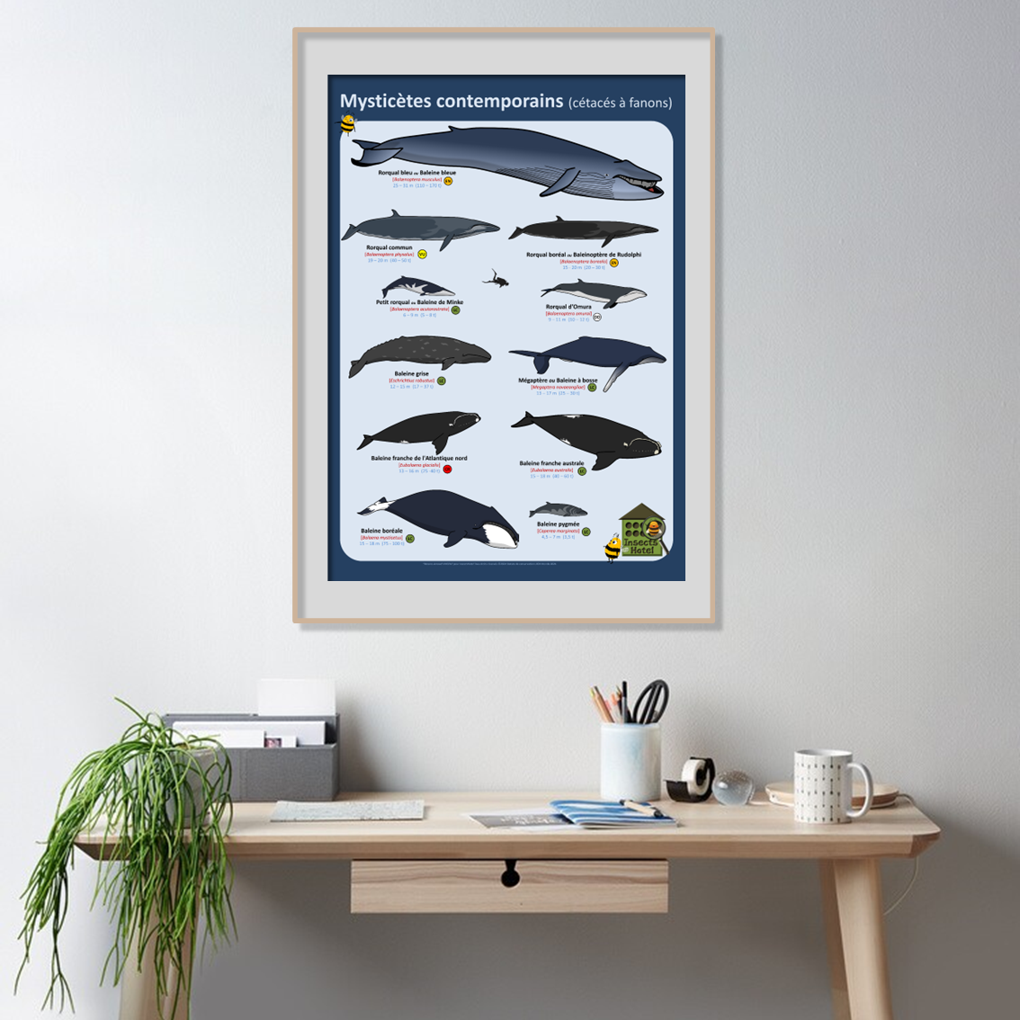 product_image_722873