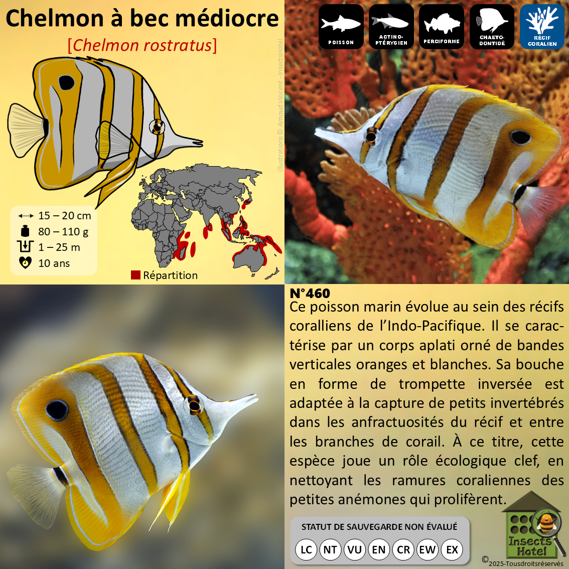 product_image_222524