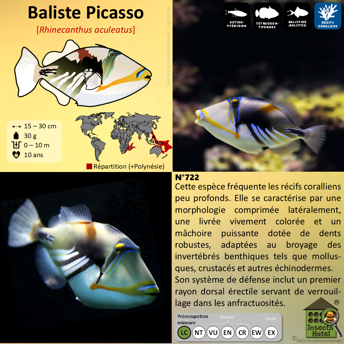 product_image_271833