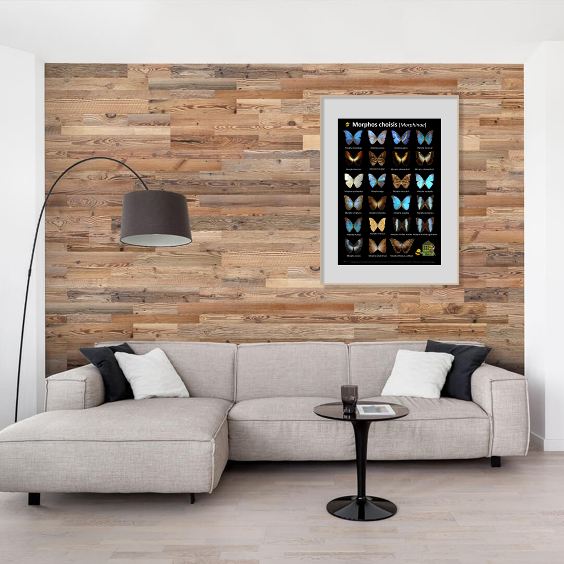 product_image_328945