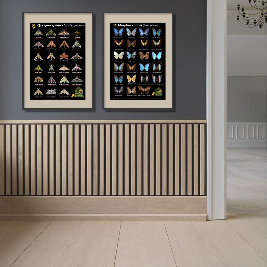 product_image_724740