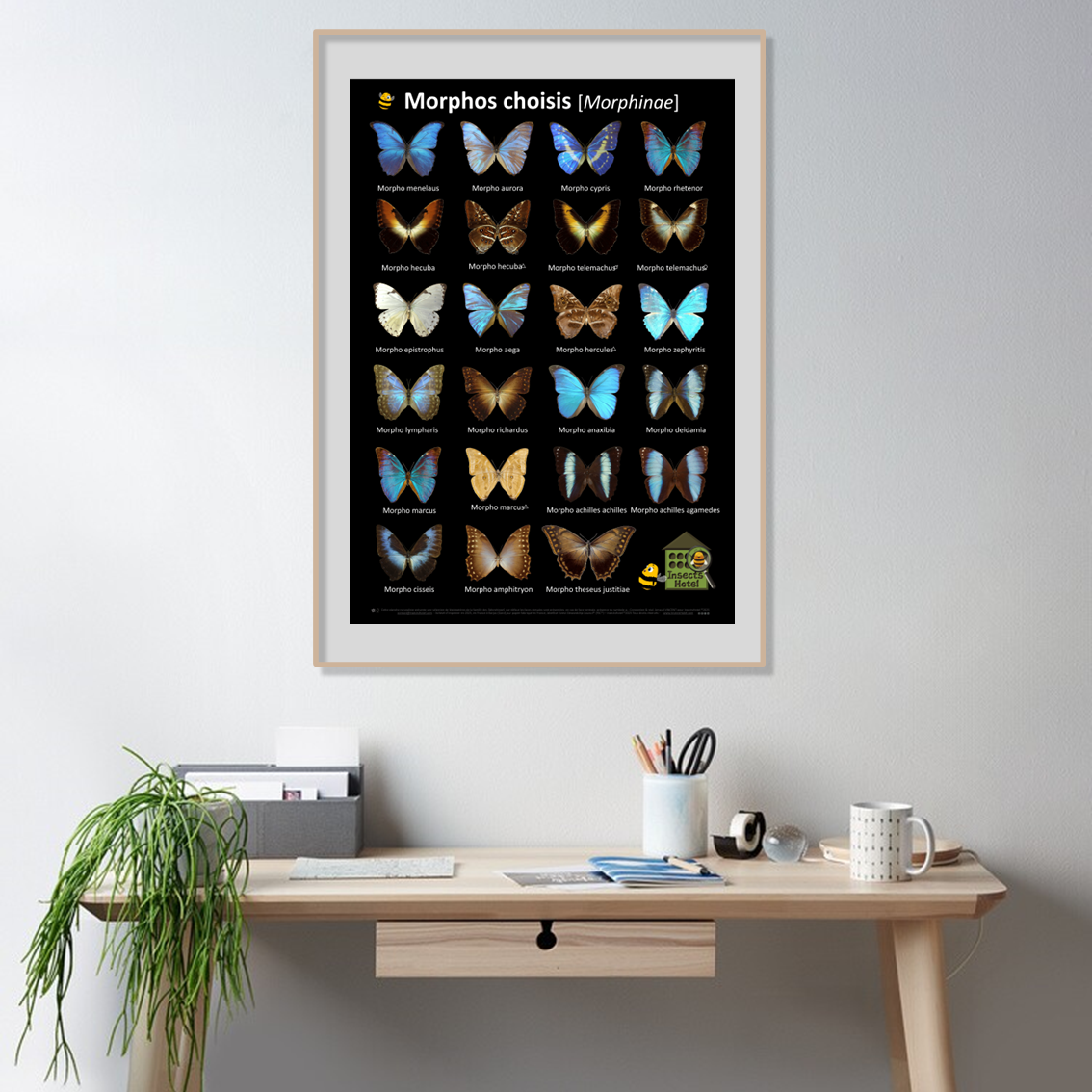 product_image_205881