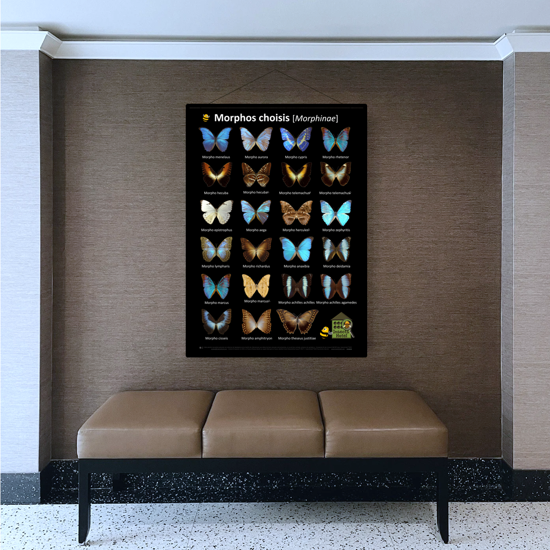 product_image_368655